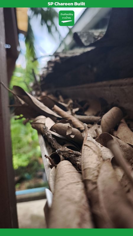 ใบไม้เต็มรางน้ำ